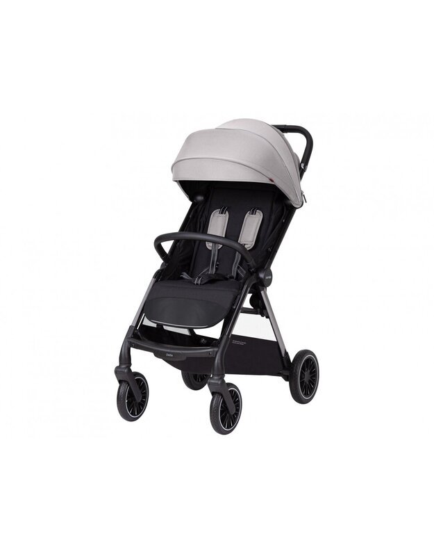 Sportinis vežimėlis Carrello Delta Flint Grey