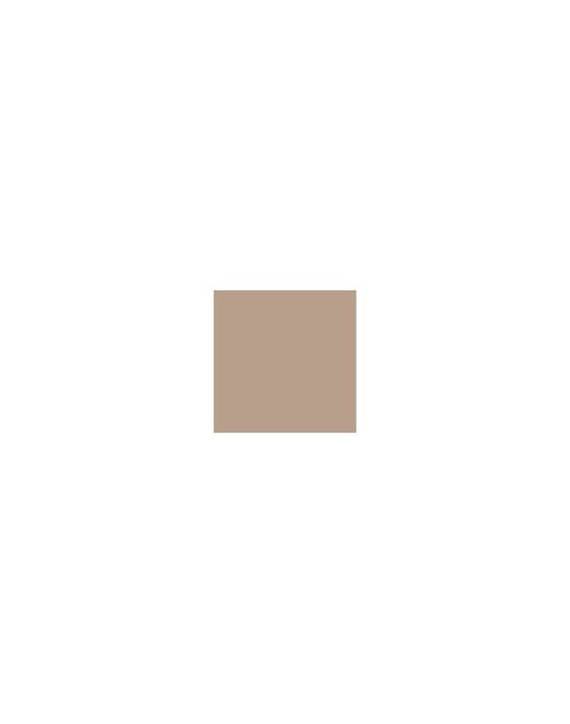 Universalus vežimėlio komplektas Carrello Vector 2in1 Foam Beige 2