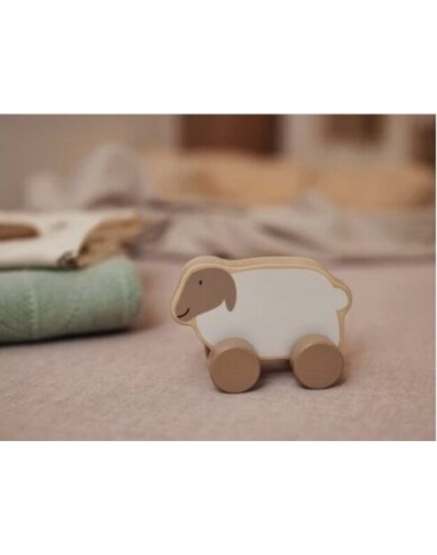 Jollein lavinamasis medinis automobilis Ėriukas 3