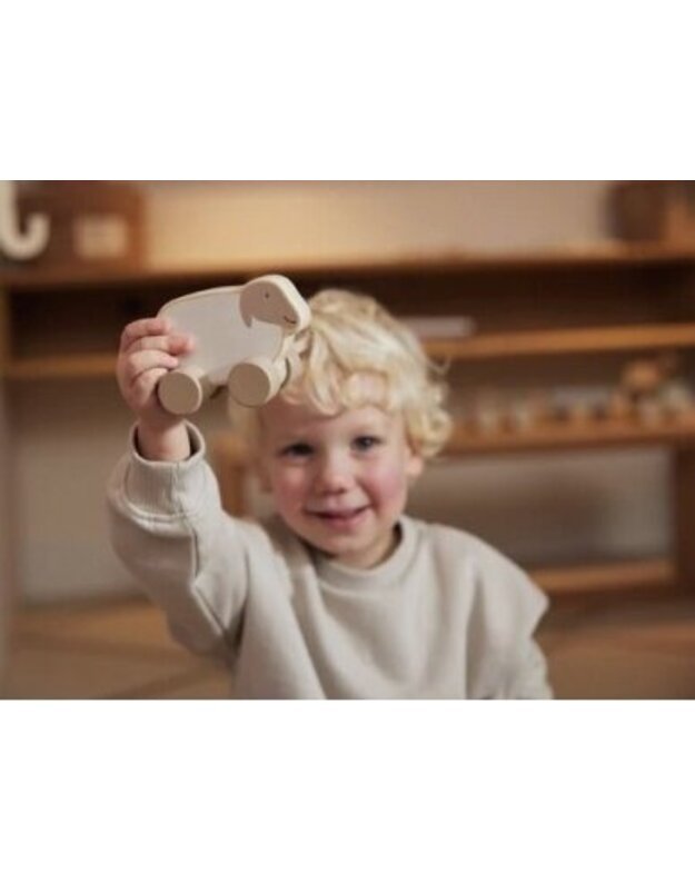 Jollein lavinamasis medinis automobilis Ėriukas 4