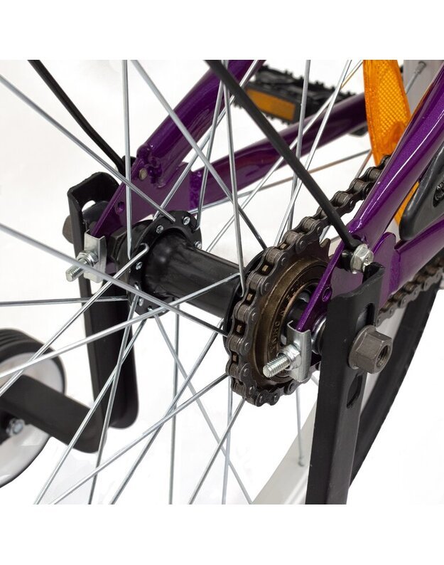 4KIDS Vaikiškas dviratis Wave 20" , violetinis 4