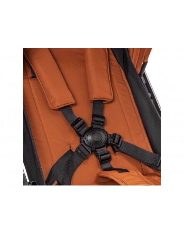 Sportinis vežimėlis Carrello Nova Coral Black