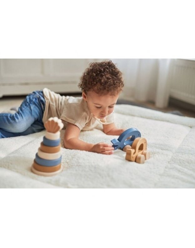 Jollein Wooden Toy Car “Whale” Animal Blue 