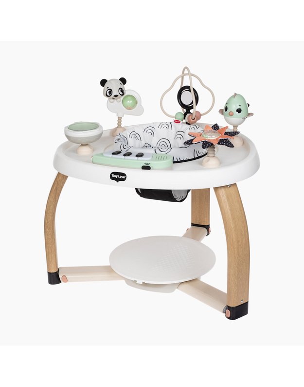  5-in-1 Stationary Activity Center 
