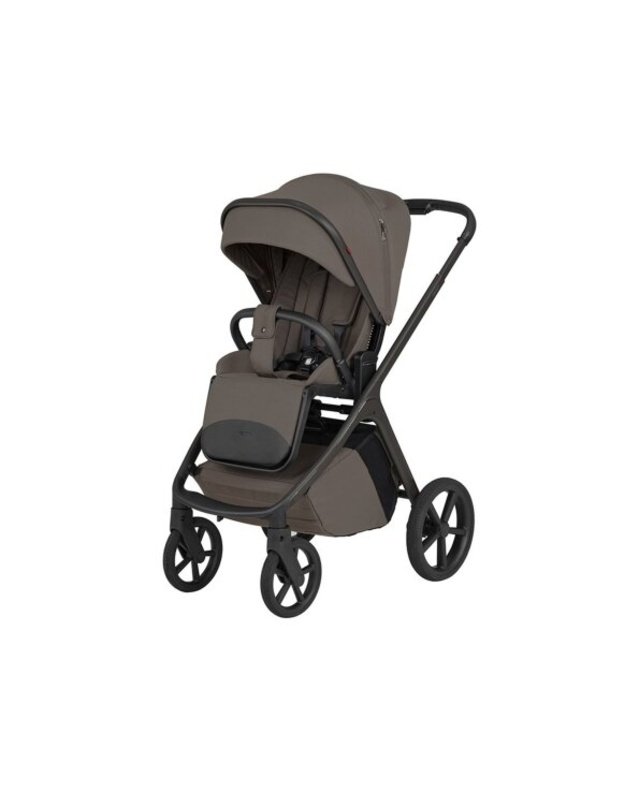 Universalus vežimėlis 2in1 Carrello Vector F Ample Grey