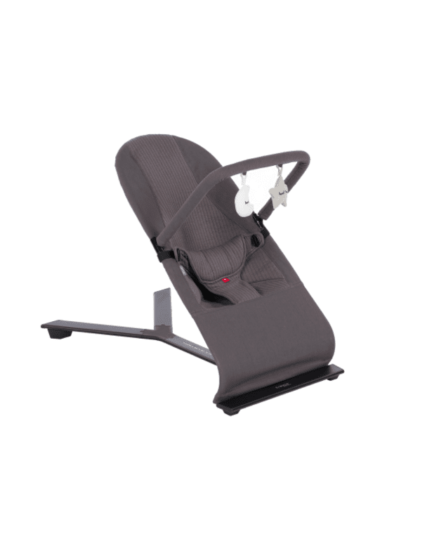 Mast Swiss Baby Bouncer with Toy Dark Grey