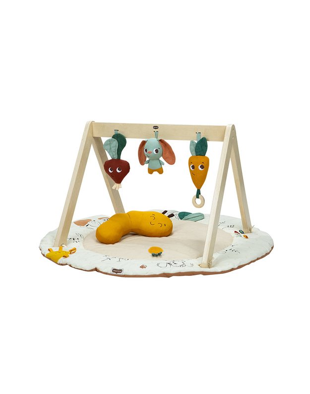 Tiny Love Luxe Developmental Gymini baby playmat
