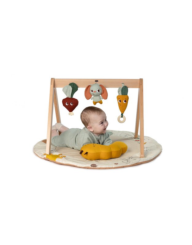 Tiny Love Luxe Developmental Gymini baby playmat