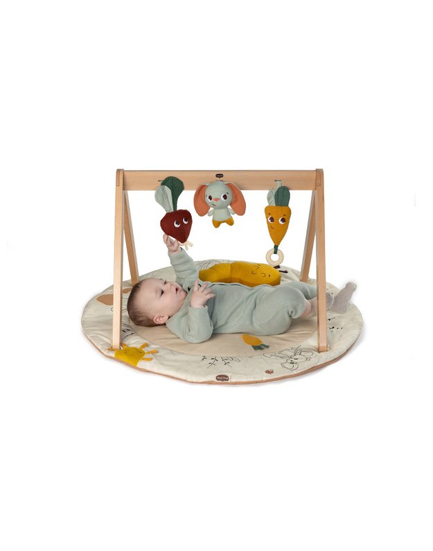 Tiny Love Luxe Developmental Gymini baby playmat