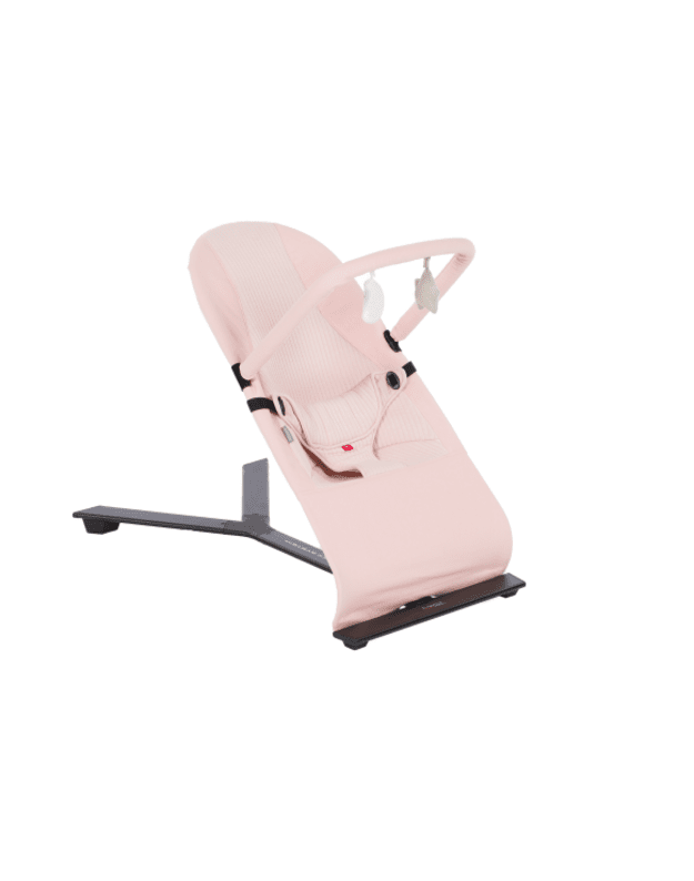 Mast Swiss Baby Bouncer with Toy Bar Rose 