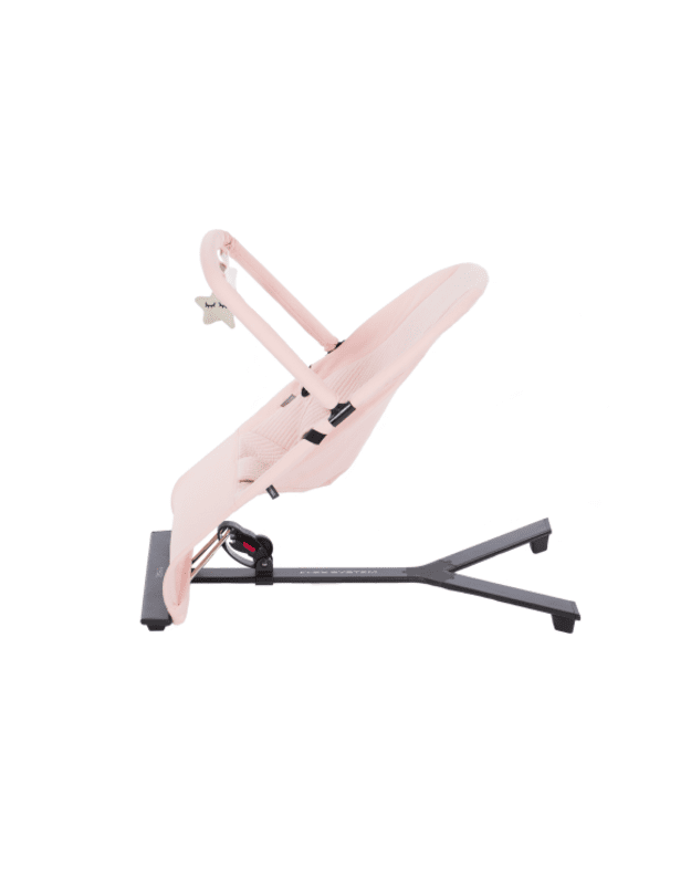 Mast Swiss Baby Bouncer with Toy Bar Rose 