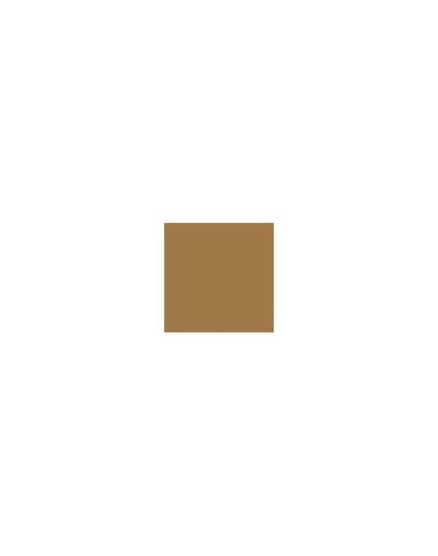 Carrello Vector 2in1 Stroller Golden Beige 